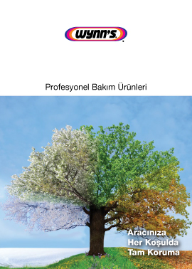 Wynn's Ürün Kataloğu